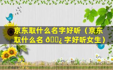 京东取什么名字好听（京东取什么名 🌿 字好听女生）